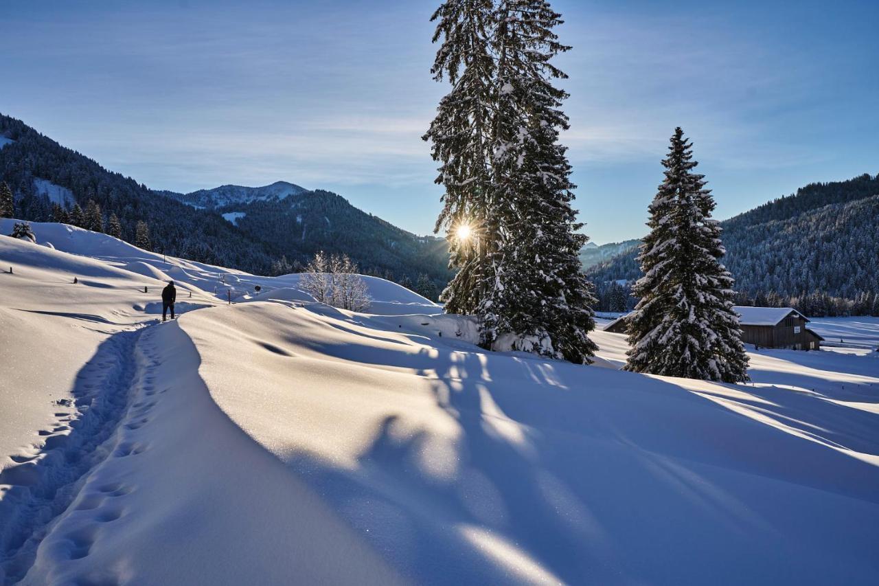 Hubertus Mountain Refugio Allgaeu Balderschwang Dış mekan fotoğraf