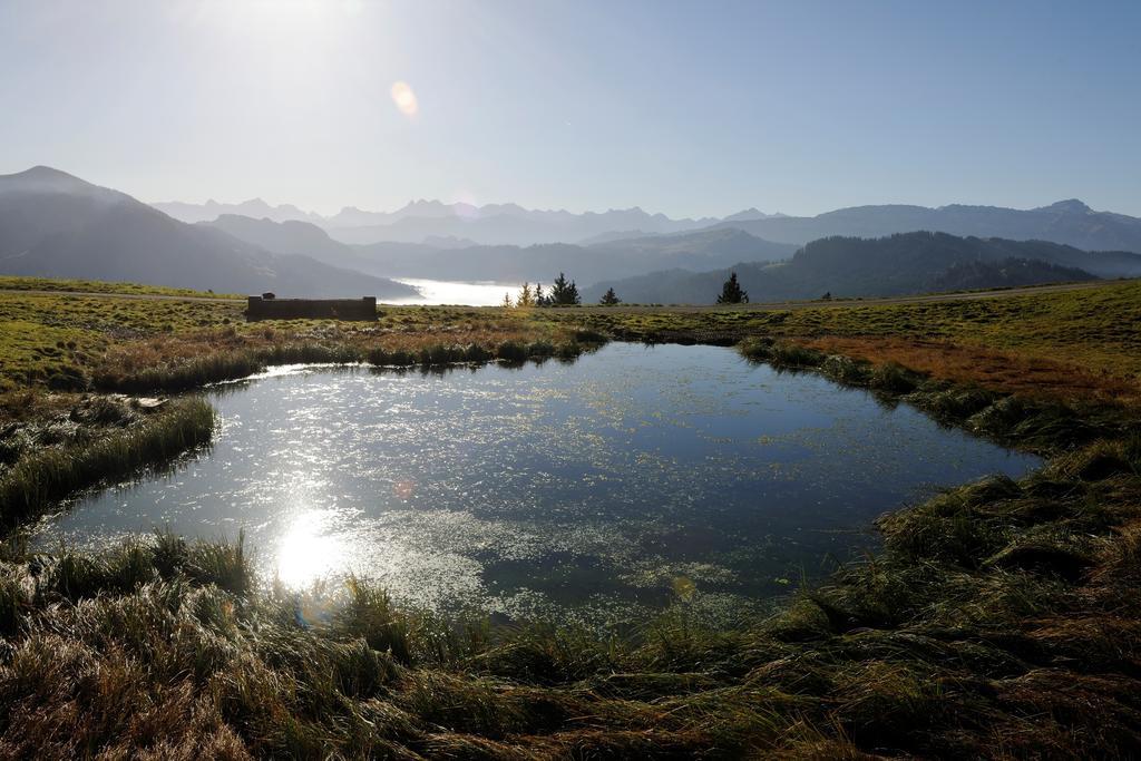 Hubertus Mountain Refugio Allgaeu Balderschwang Dış mekan fotoğraf