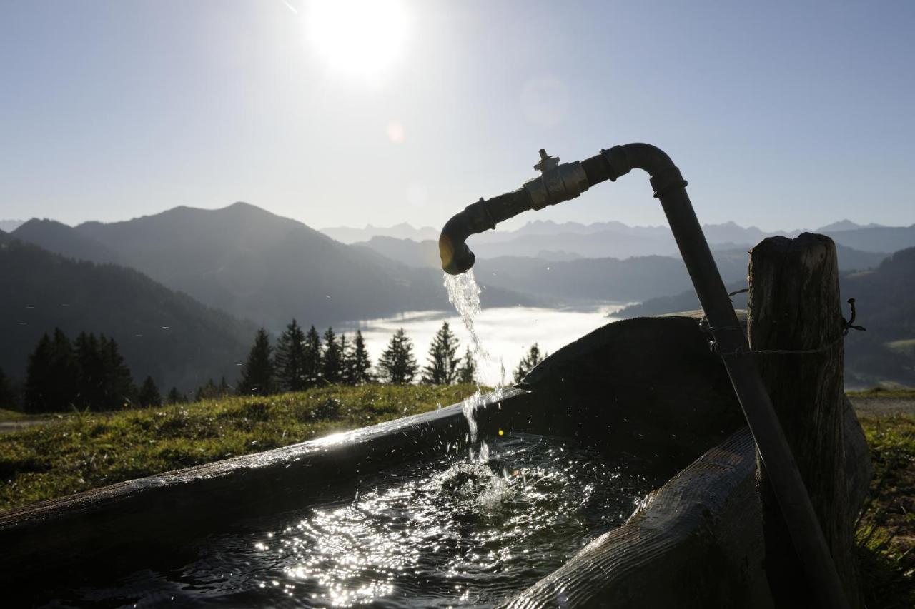 Hubertus Mountain Refugio Allgaeu Balderschwang Dış mekan fotoğraf